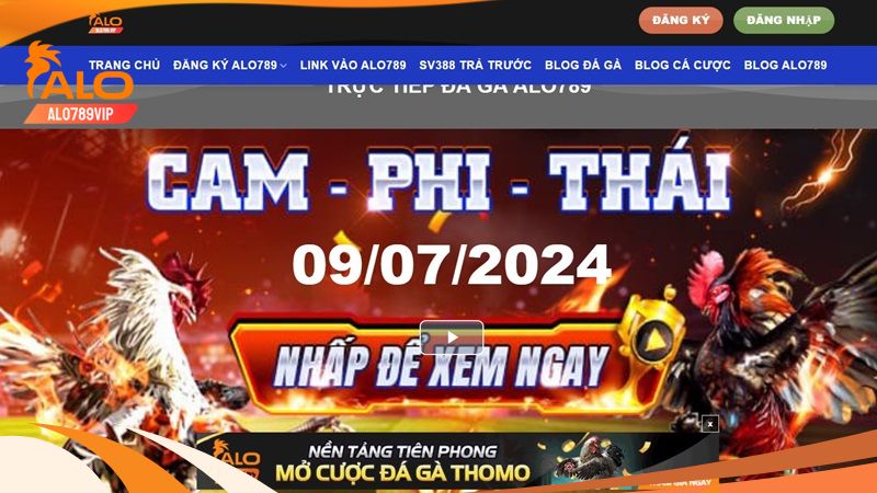 Xem đá gà campuchia trực tiếp tại alo789 - giải pháp cho mọi cược thủ